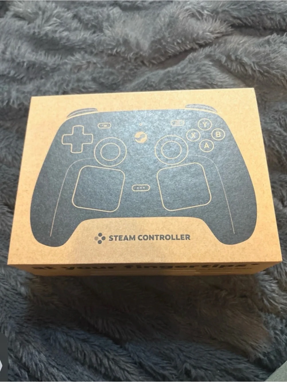Controller - Brown Kraft Packaging
